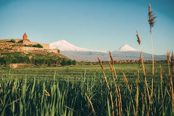 Բնակարանների եւ Կանանց տուների ուղերձները: Դիզայն եւ հարմարավետություն